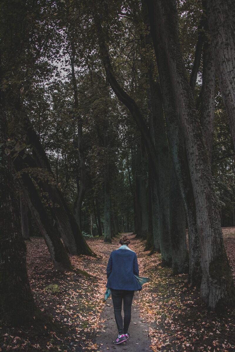 A person walking a quiet, tree-lined avenue in autumn.